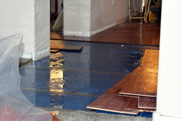 Professional Water Damage Restoration technician working in Union City, OH